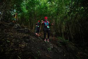 BIB: 
                            <button type="button" onclick="openModal(25090210)" class="btn btn-primary btn-sm float-right btn-popup" data-toggle="modal" data-target=".modal-high-quality">
                        <i class="fas fa-shopping-cart"></i> Add to Cart
                    </button>
                                            <button type="button" onclick="isThisMe(25090210, true)" class="btn btn-success btn-sm float-right btn-popup btn-isme hidden" data-toggle="tooltip" data-placement="bottom" title="นี่คือรูปของคุณใช่ไหม คลิกที่นี่เพื่อเอาเข้าอัลบั้ม">
                        <i class="fas fa-plus"></i> Add to album
                    </button>
                    <button type="button" onclick="isThisMe(25090210, false)" class="btn btn-warning btn-sm float-right btn-popup btn-isnotme hidden">
                        <i class="fas fa-ban"></i> Remove from album
                    </button>